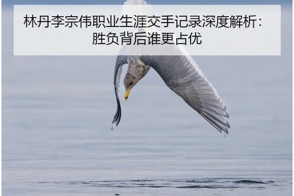 lin-dan-li-zong-wei-zhi-ye-sheng-ya-jiao-shou-ji-lu-shen-du-jie-xi-sheng-fu-bei-hou-shui-geng-zhan-you-2-507.jpg