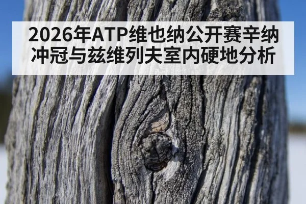 2026年ATP维也纳公开赛辛纳冲冠与兹维列夫室内硬地分析